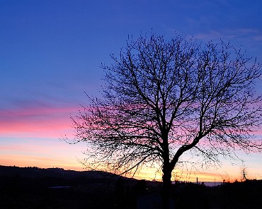 2019-02-12 18.10.33