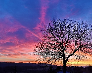2019-02-23 18.21.42