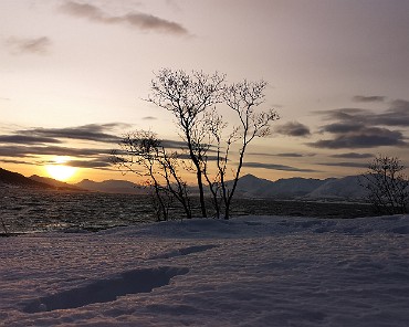 IMG_20200129_110807