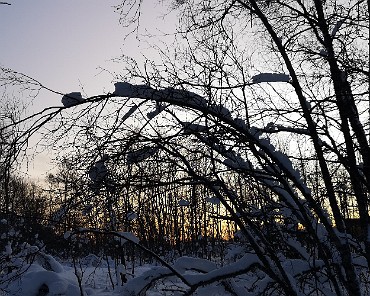IMG_20200129_131801