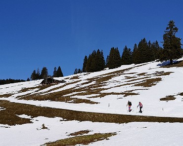 IMG_20200315_092941