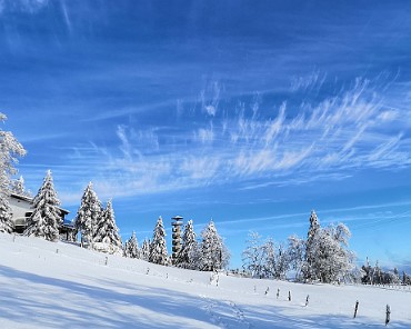 IMG_20210116_130110-2