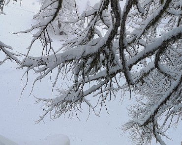 IMG_20191227_110652