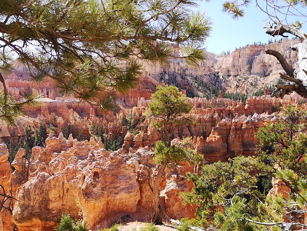 Bryce Canyon